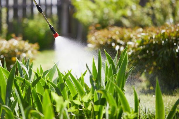 24/7 Emergency Mosquito Control experts in Green Forest, AR